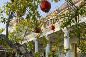 Getty villa
